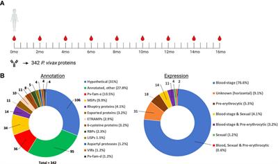 Identification of novel Plasmodium vivax proteins associated with protection against clinical malaria